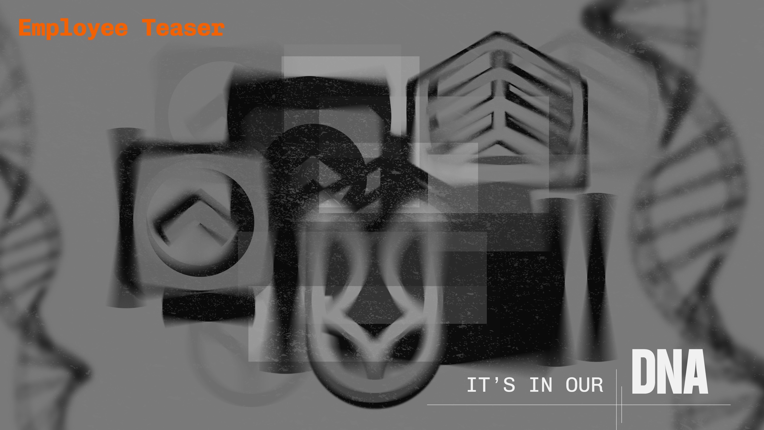Launch Visuals page 19